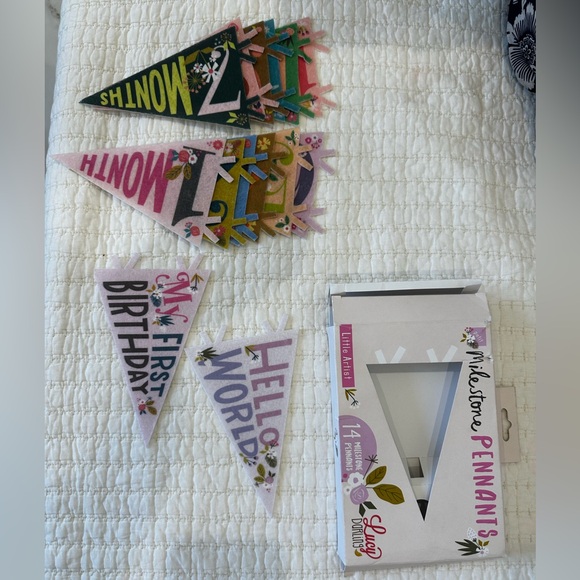 Lucy Darling Milestone Pennants - Picture 2 of 2